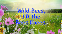 'Wild Bees U R the Bees Knees' music video.